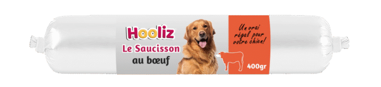 boeuf copie